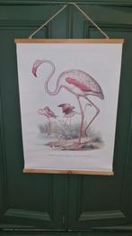 Schoolplaat vintage flamingo, Huis en Inrichting, Zo goed als nieuw, Ophalen