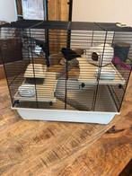Knaagdier/muizenkooi, Kooi, Gebruikt, Minder dan 75 cm, Hamster