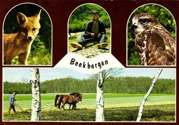 Beekbergen - 4 afb - 1981 gelopen beschikbaar voor biedingen