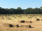 Kleine hooipakjes, Dieren en Toebehoren, Dierenvoeding, Ophalen of Verzenden, Vee