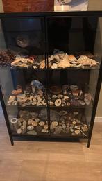 Edelstenen, fosielen schelpen en nog meer allemaal echt!, Ophalen, Minder dan 50 cm, 100 tot 150 cm, Zo goed als nieuw