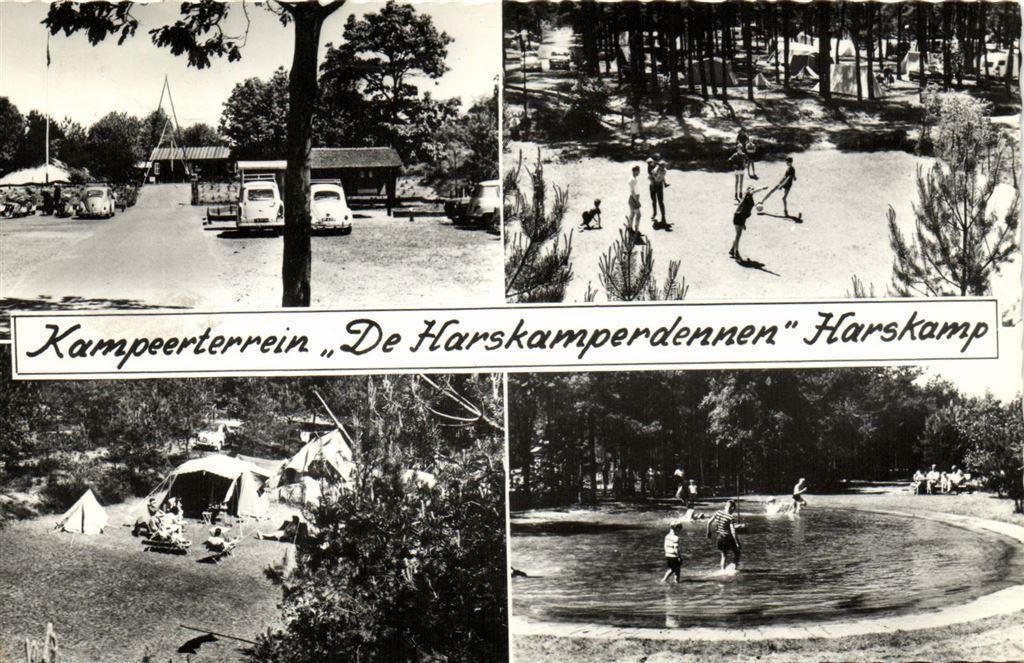 De Harskamperdennen Harskamp - 4 afb - 1963 gelopen, Ophalen of Verzenden, Voor 1920, Gelopen, Noord-Brabant