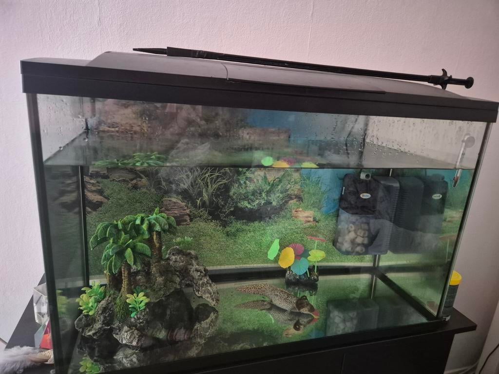 aquarium 160 liter + axolotl en toebehoren, Dieren en Toebehoren, Vissen | Aquaria en Toebehoren, Ophalen, Leeg aquarium