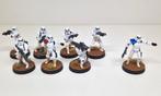 Star Wars Legion: Stormtroopers miniatures, geschilderd., Ophalen of Verzenden, Overige soorten, Figuurtje(s), Geverfd