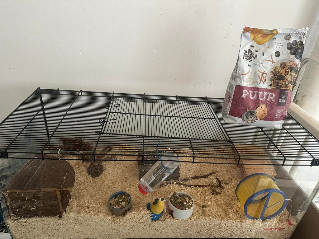 Hamster, Minder dan 60 cm, Kooi, Minder dan 75 cm, Ophalen of Verzenden