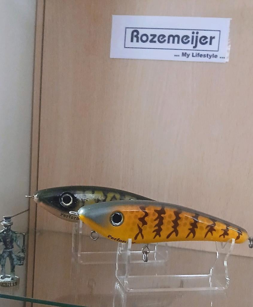 Tekoop Gevraagd Rozemeijer Performer, Ophalen of Verzenden, Overige typen