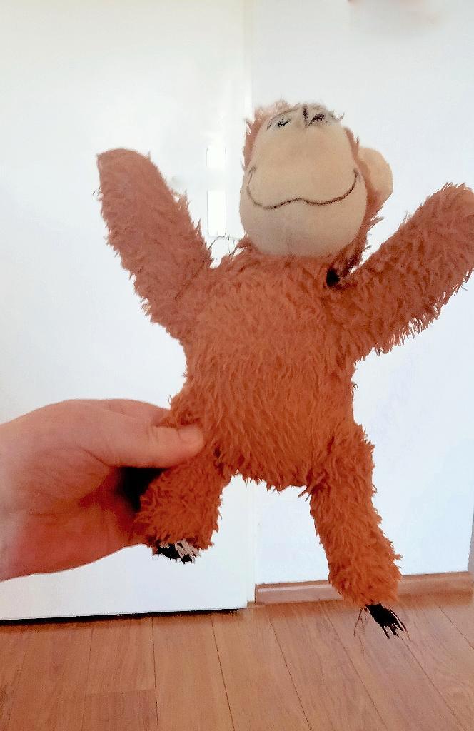 Gezocht een knuffel aapje voor ons hondje!, Dieren en Toebehoren, Vermiste en Gevonden Dieren, Overige typen