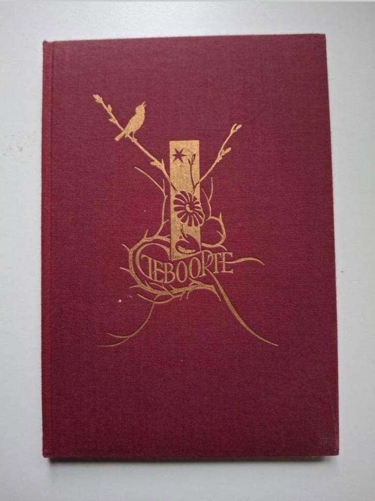 Geboorte - Berendien Meijer-Schuiling,, Gelezen, Ophalen of Verzenden, Berendien Meijer-Schuiling, Eén auteur