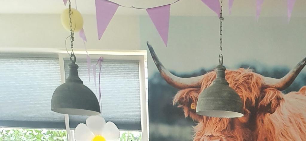 Hanglampen, Ophalen, 50 tot 75 cm, Metaal, Landelijk