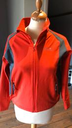 Regatta rode outdoor vest maat 164, Ophalen of Verzenden, Zo goed als nieuw, Jongen of Meisje, Trui of Vest