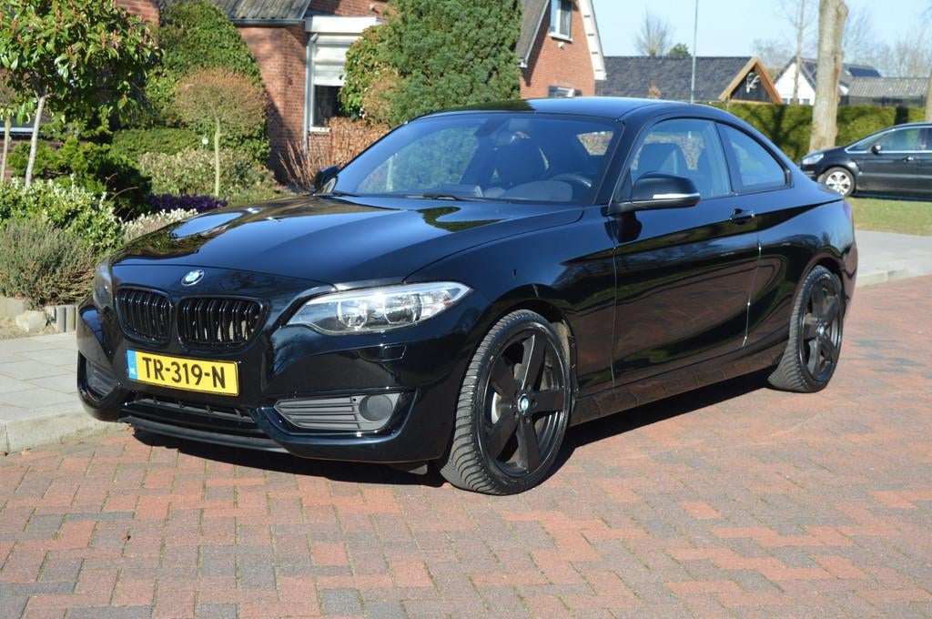 BMW 2-serie Coupé 220i High Exe nw ketting+gr onderhoud, Auto's, Automaat, 1345 kg, Achterwielaandrijving, Gebruikt