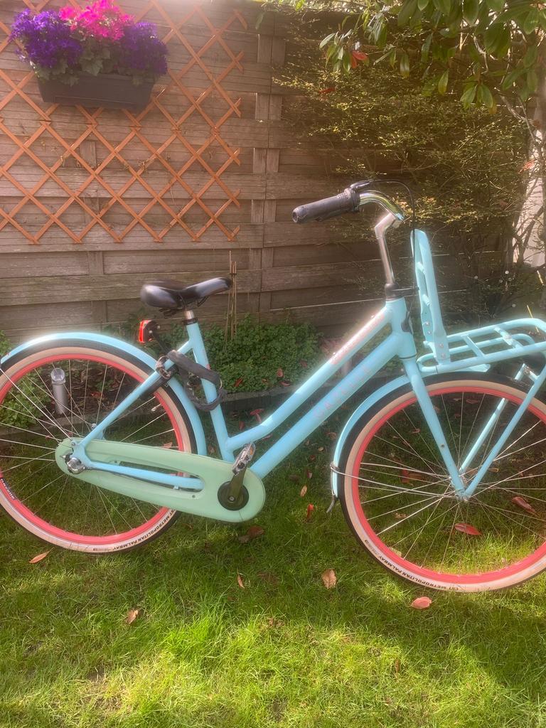 GAZELLE heavy duty damesfiets / transportfiets, Fietsen en Brommers, Fietsen | Dames | Damesfietsen, Ophalen, 53 tot 56 cm, Versnellingen