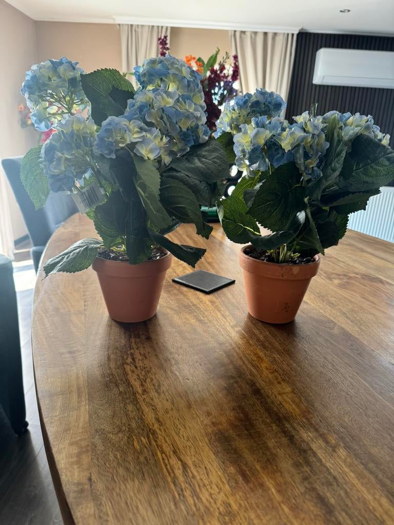 kunst hortensia’s, Ophalen of Verzenden, Zo goed als nieuw