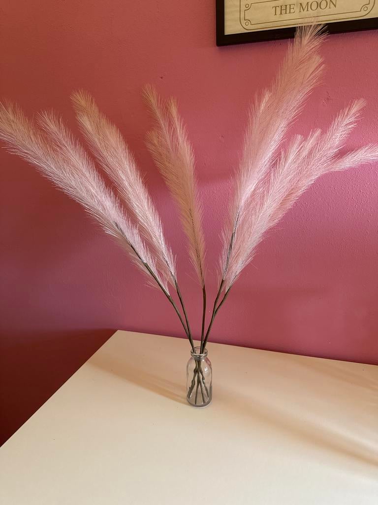 Decoratieve kunstpluimen, Huis en Inrichting, Woonaccessoires | Vazen, Overige materialen, Overige kleuren, 50 tot 75 cm, Ophalen of Verzenden