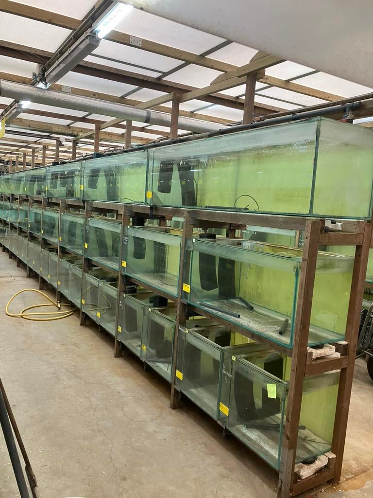 Visaquariums en kweekbakken met toebehoren vanaf €10,-, Dieren en Toebehoren, Vissen | Aquaria en Toebehoren, Ophalen, Gebruikt