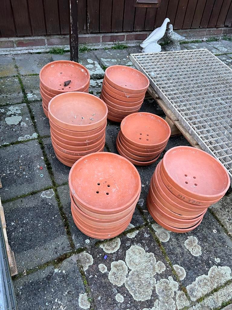Broedschaal Duiven | circa 45 stuks, Dieren en Toebehoren, Vogels | Toebehoren, Ophalen, Gebruikt