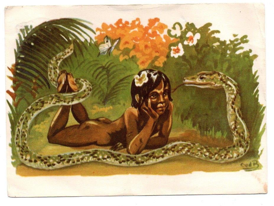 Mowgli en Kaa Scout shop 1959, Ophalen, 1940 tot 1960, Gelopen