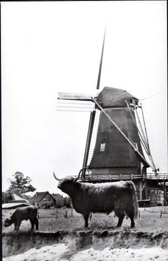 (GD508) Ansichtkaart Zwiep-Lochem Zwiepse molen 1980 rund, Verzamelen, Ansichtkaarten | Nederland, Ongelopen, Gelderland, 1960 tot 1980