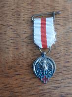 Medailles, Ophalen of Verzenden, Brons, Nederland