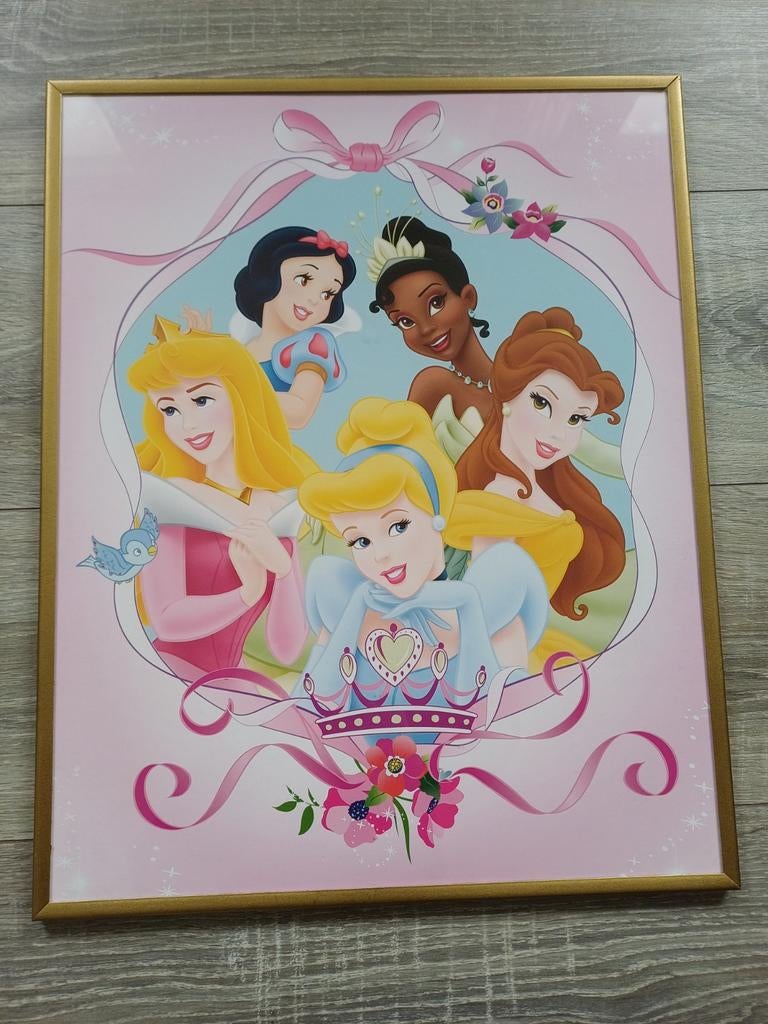 Schilderij met Disney prinsessen, Ophalen, Wanddecoratie