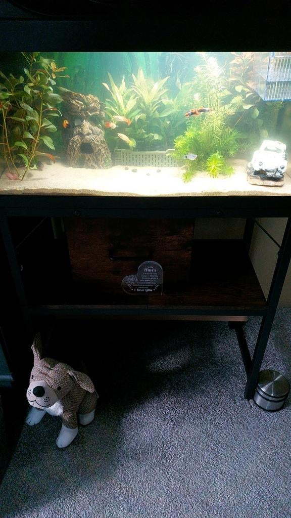 VANDAAG VOOR €140!! ingerichte nieuwe aquaria's SPOED., Dieren en Toebehoren, Vissen | Aquaria en Toebehoren, Ophalen, Gevuld zoetwateraquarium
