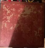 Girl in Red - Beginnings vinyl, Ophalen of Verzenden, 2000 tot heden, Zo goed als nieuw, Overige formaten