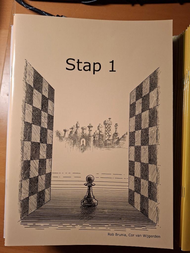 werkboeken stappenmethode schaken STAP 1 en 2, Ophalen of Verzenden, Nieuw, Brunia en van Wijgerden