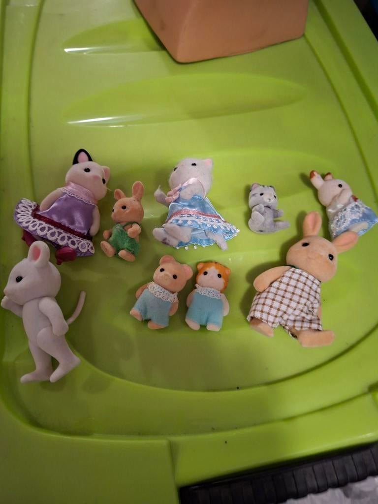 Sylvanians, Ophalen of Verzenden, Gebruikt