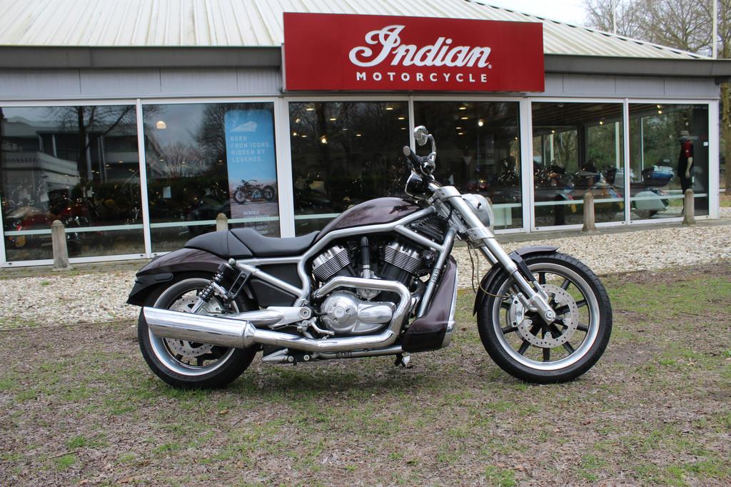 Harley-Davidson VRSC Street Rod VRSCR, Motoren, Motoren | Harley-Davidson, Bedrijf, 1130 cc, Meer dan 35 kW, Overig