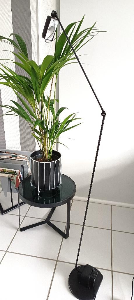 Daphine Terra vloerlamp (Lumina Italy) designer T.Cimni  70s, Ophalen, Glas, 150 tot 200 cm, Italiaans  -  Lumina vintage  design