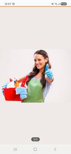 Huishoudelijke hulp schoonmaakster voor al uw klusjes, Overige uren, Overige niveaus, Vanaf 10 jaar, Overige vormen