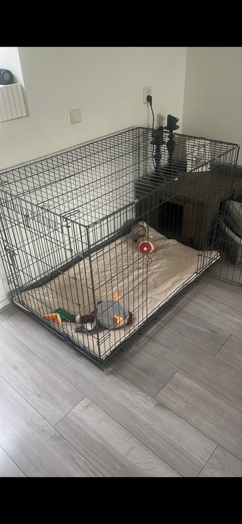 Honden bench, Ophalen of Verzenden