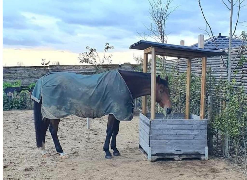 Hooihuisje, hayfeeder ( soort bouwpakket ) te koop, Ophalen, Vee