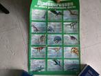 grote poster dino dinosaurus dinosaurussen dino’s 76x52 cm, Ophalen of Verzenden, Zo goed als nieuw, A1 t/m A3