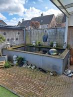 Complete koivijver te koop, Ophalen