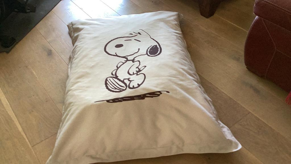 SNOOPY ZITZAK ALS NIEUW?., Huis en Inrichting, Ophalen of Verzenden, Zo goed als nieuw, Vierkant