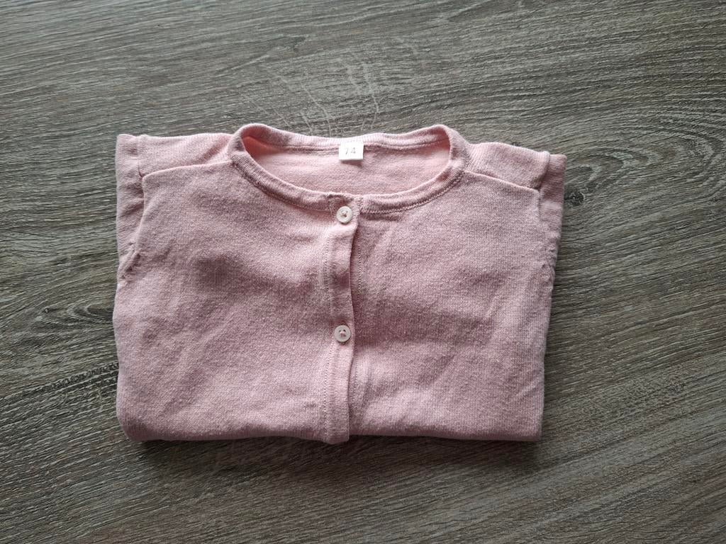 Rosé vestje Zeeman maat 74, Kinderen en Baby's, Babykleding | Maat 74, Ophalen, Zeeman, Gebruikt, Truitje of Vestje