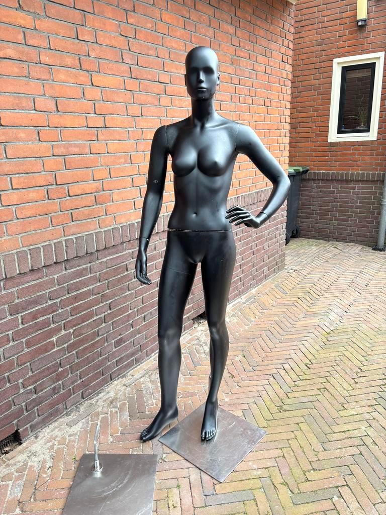 Paspop, etalagepop compleet dames model, Ophalen