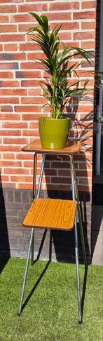 Vintage plantentafeltje / diaprojector, Ophalen, Gebruikt, Vintage, 55 tot 75 cm