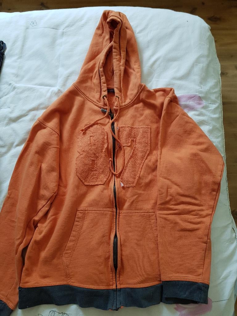 Truien en vesten, Ophalen of Verzenden, Gedragen, Maat 38/40 (M), Overige kleuren