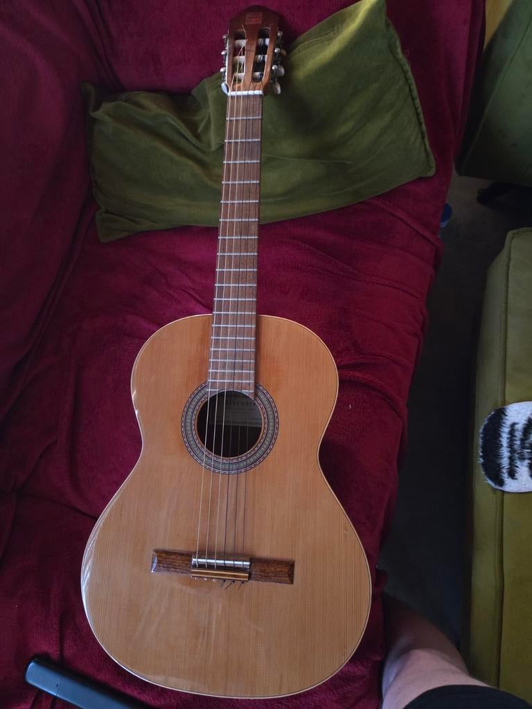 Alhambra 1C nylon snaar, Muziek en Instrumenten, Snaarinstrumenten | Gitaren | Akoestisch, Ophalen of Verzenden, Gebruikt, Klassieke of Spaanse gitaar