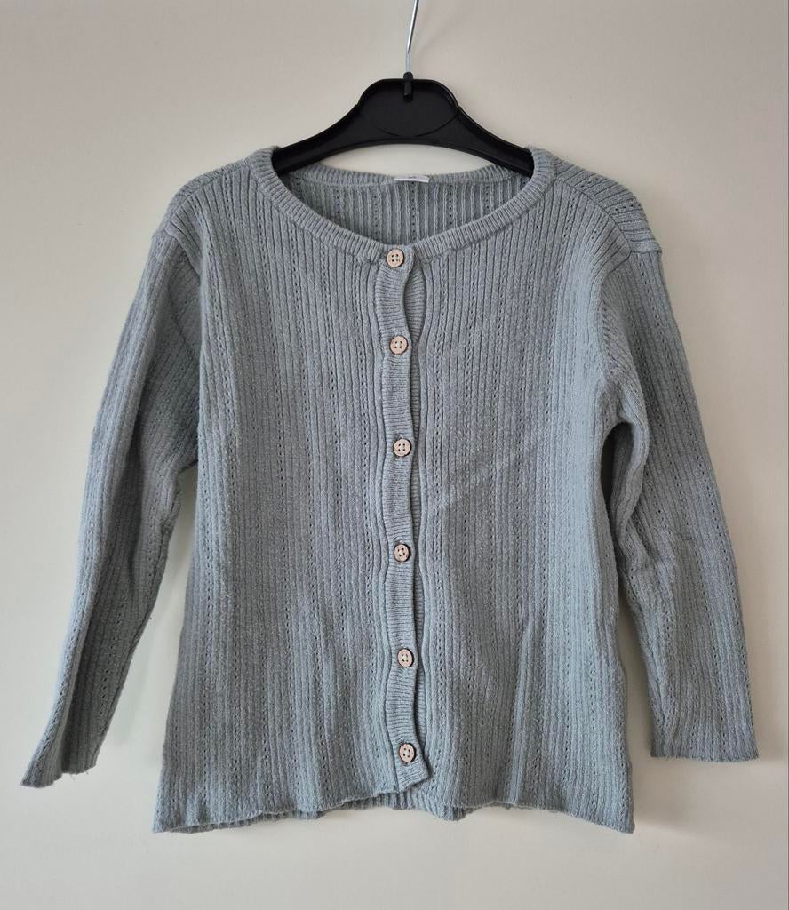 Zeeman Vest, Kinderen en Baby's, Kinderkleding | Maat 92, Ophalen of Verzenden, Gebruikt, Meisje, Trui of Vest