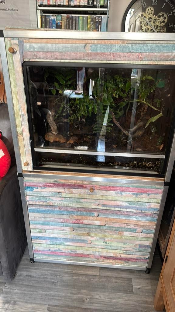 Paludarium te koop, Dieren en Toebehoren, Reptielen en Amfibieën | Toebehoren, Ophalen, Gebruikt, Terrarium of Paludarium