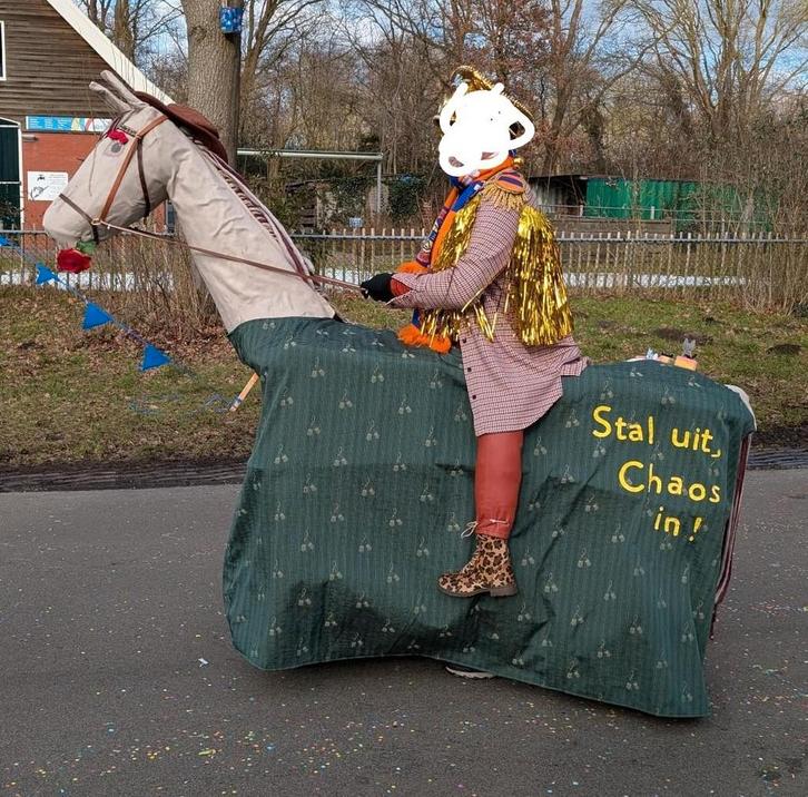 Carnavalspaard, Kleding | Heren, Carnavalskleding en Feestkleding, Zo goed als nieuw, Carnaval, Ophalen