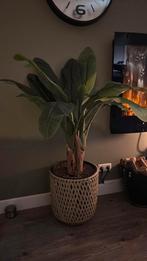 Grote kunstplant in mooie pot, 150 cm hoog, Ophalen, Volledige schaduw, Overige soorten, In pot