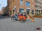Babboe Big/Dog Bakfiets - Hondenbakfiets, Fietsen en Brommers, Fietsen | Bakfietsen, Overige merken, Gebruikt, 3 kinderen, Ophalen of Verzenden