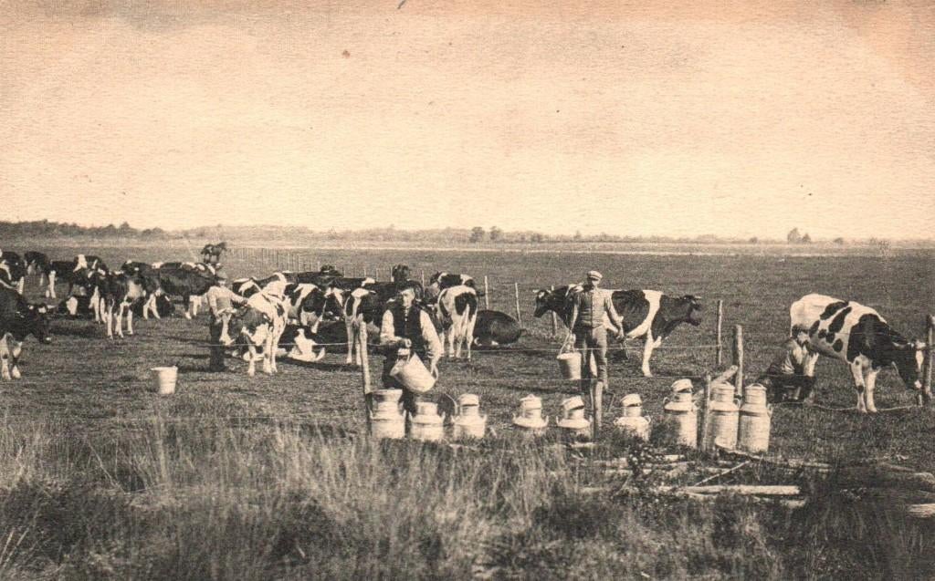 Ansichtkaart Hilvarenbeek, Verzenden, Noord-Brabant