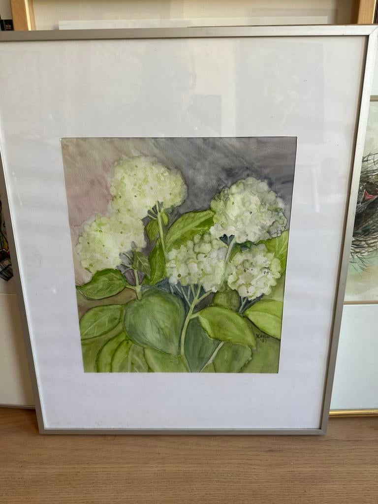 Aquarel schilderij van hortensia's, gesigneerd '87, Ophalen