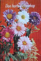 Beterschap - nieuwe ansichtkaart met chrysanten, Verzenden, 1960 tot 1980, Ongelopen, Overige thema's