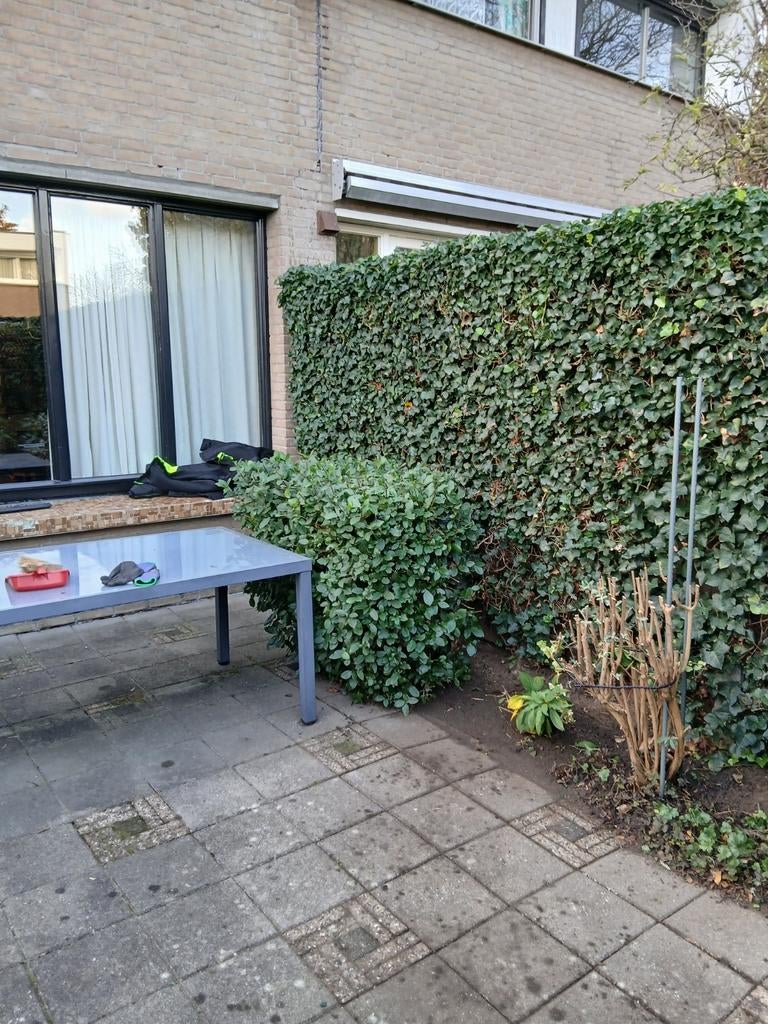 Klein tuin onderhoud omgeving denbosch, Tuin en Terras, Ophalen of Verzenden